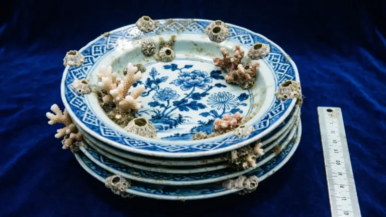 Sunken Treasures: Ming Dynasty Shipwrecks Found in Philippine Waters